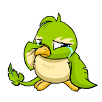Green Pteri
