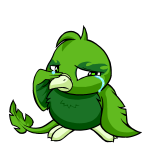Green Pteri