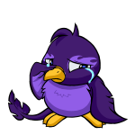 Purple Pteri