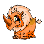 Orange Tonu
