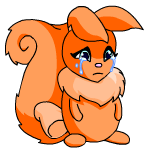 Orange Usul