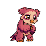 Pink Vandagyre