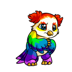 Rainbow Vandagyre