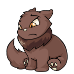 Brown Wocky