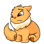 Orange Wocky