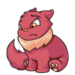 Pink Wocky