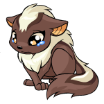Brown Xweetok