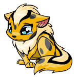 Spotted Xweetok