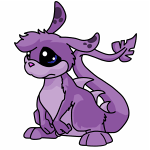 Purple Zafara