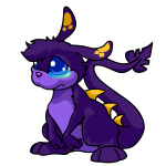 Purple Zafara