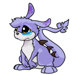 Purple Zafara
