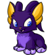 Purple Acara