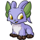 Purple Acara
