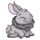 Ashen Cybunny