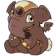 Brown Elephante