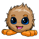 Brown Jubjub