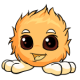 Orange Jubjub
