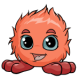Orange Jubjub
