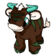 Brown Kau