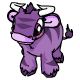 Purple Kau