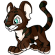 Brown Kougra