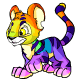 Rainbow Kougra