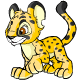 Spotted Kougra