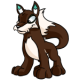 Brown Lupe