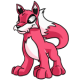Pink Lupe