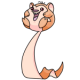 Orange Meerca