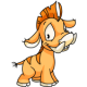 Orange Moehog