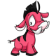 Pink Moehog