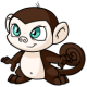 Brown Mynci