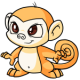 Orange Mynci