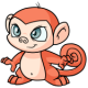 Orange Mynci