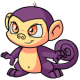 Purple Mynci