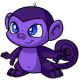 Purple Mynci