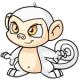 White Mynci