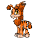 Orange Ogrin