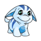 White Poogle