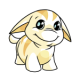 White Poogle