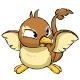Brown Pteri