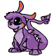 Purple Zafara