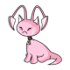 Pink Aisha