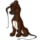 Brown Gelert
