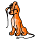 Orange Gelert