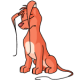 Orange Gelert
