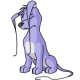 Purple Gelert