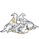 White Hissi