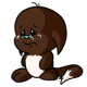 Brown Kacheek